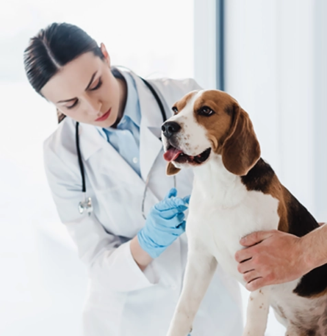 Gürpınar Veteriner