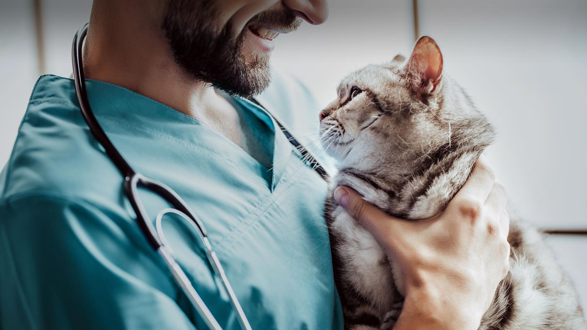 Gürpınar Veteriner